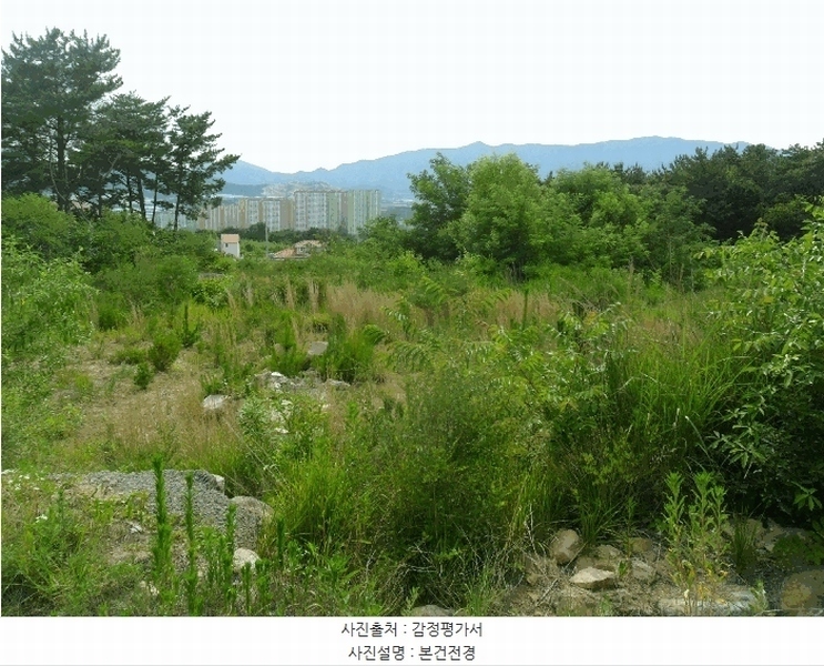 2025타경327 경상북도 경주시 외동읍 모화리 산99-5 임야 경매 이미지