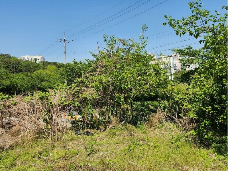 2025타경1061 울산광역시 남구 선암동 456-1 농지 경매 이미지