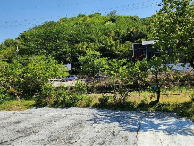 2025타경1061 울산광역시 남구 선암동 456-1 농지 경매 이미지