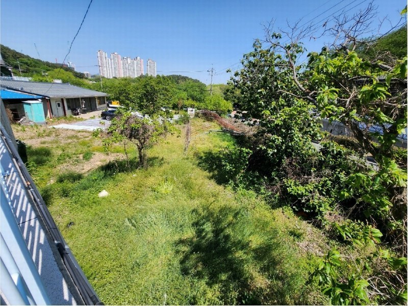 2025타경1061 울산광역시 남구 선암동 456-1 농지 경매 이미지