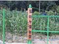 2025타경2668 서울특별시 도봉구 도봉동 산68-39 임야 경매 이미지