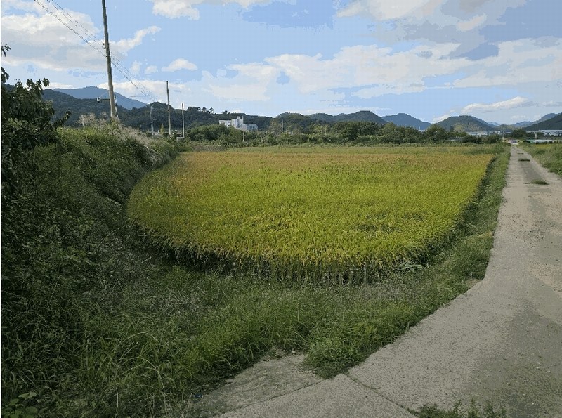 2025타경12051 경상남도 창원시 의창구 북면 화천리 540-1 농지 경매 이미지