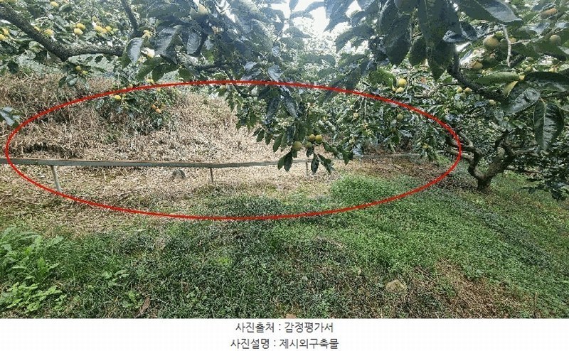 2025타경12258 경상남도 김해시 관동동 818-12 과수원 경매 이미지