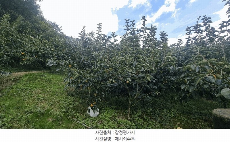 2025타경12258 경상남도 김해시 관동동 818-12 과수원 경매 이미지