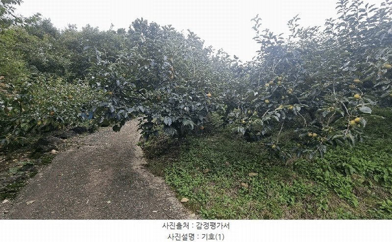 2025타경12258 경상남도 김해시 관동동 818-12 과수원 경매 이미지