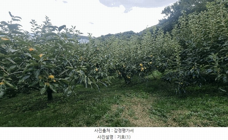 2025타경12258 경상남도 김해시 관동동 818-12 과수원 경매 이미지
