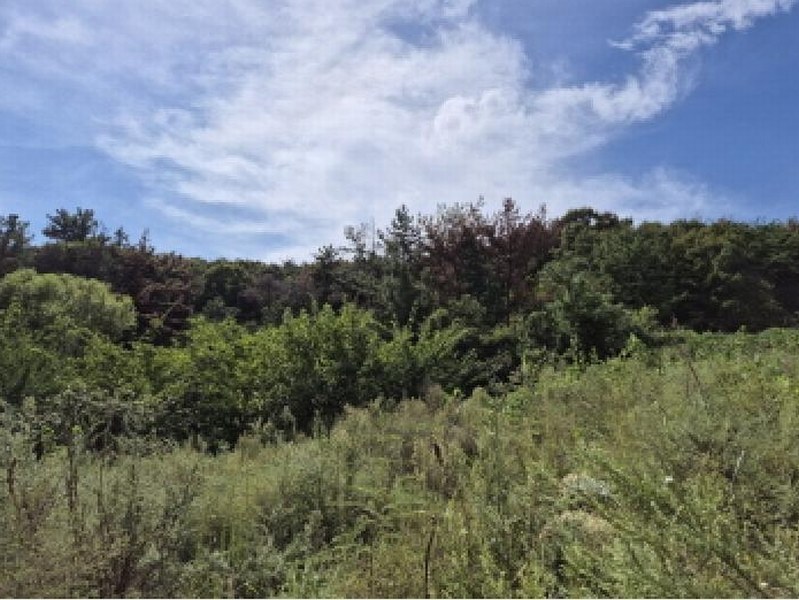 2025타경1405 울산광역시 북구 천곡동 957-5 농지 경매 이미지
