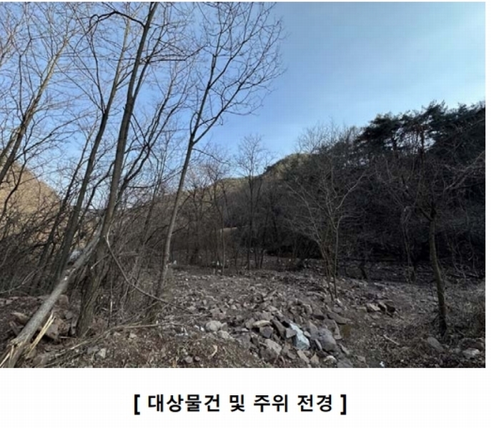 2025타경10171 경상북도 영양군 청기면 저리 산77 임야 경매 이미지
