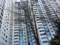 2024타경108521 서울특별시 중랑구 신내로 51, 성원아파트 101동 10층 1011호 아파트[공급31평형] 경매 이미지