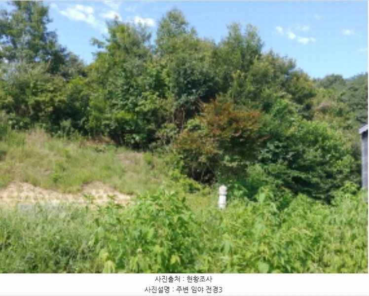 2024타경115536 충청남도 금산군 군북면 동편리 305 공장 경매 이미지