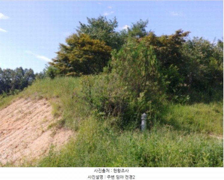 2024타경115536 충청남도 금산군 군북면 동편리 305 공장 경매 이미지