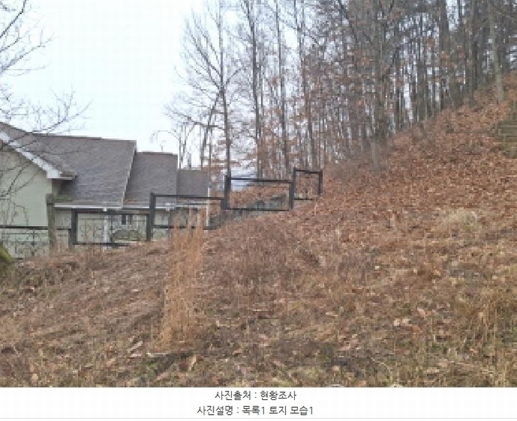 2025타경969 대전광역시 동구 가오동 140-20 임야 경매 이미지
