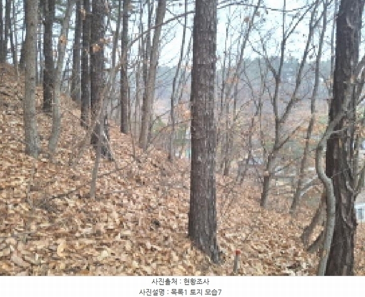 2025타경969 대전광역시 동구 가오동 140-20 임야 경매 이미지