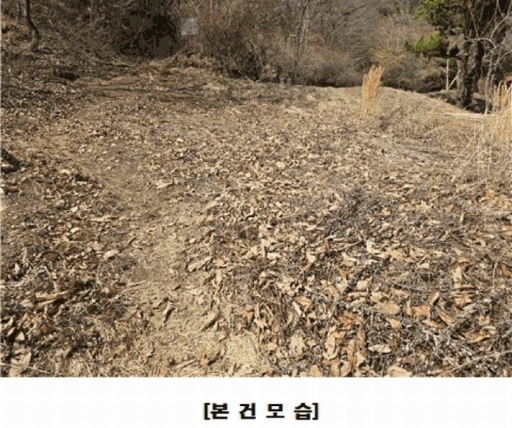 2025타경969 대전광역시 동구 가오동 140-20 임야 경매 이미지