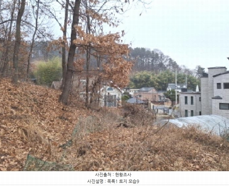 2025타경969 대전광역시 동구 가오동 140-20 임야 경매 이미지