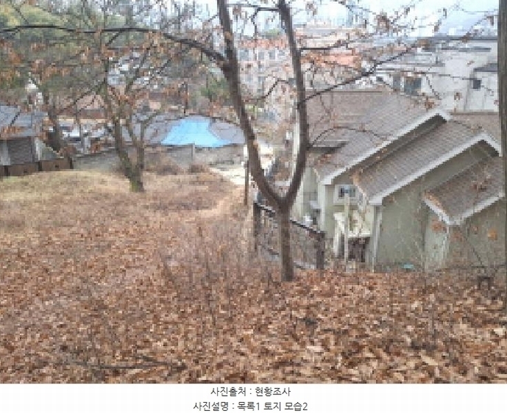 2025타경969 대전광역시 동구 가오동 140-20 임야 경매 이미지