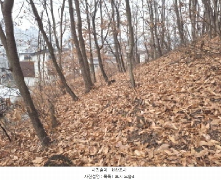 2025타경969 대전광역시 동구 가오동 140-20 임야 경매 이미지