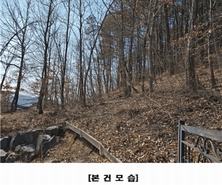 2025타경969 대전광역시 동구 가오동 140-20 임야 경매 이미지