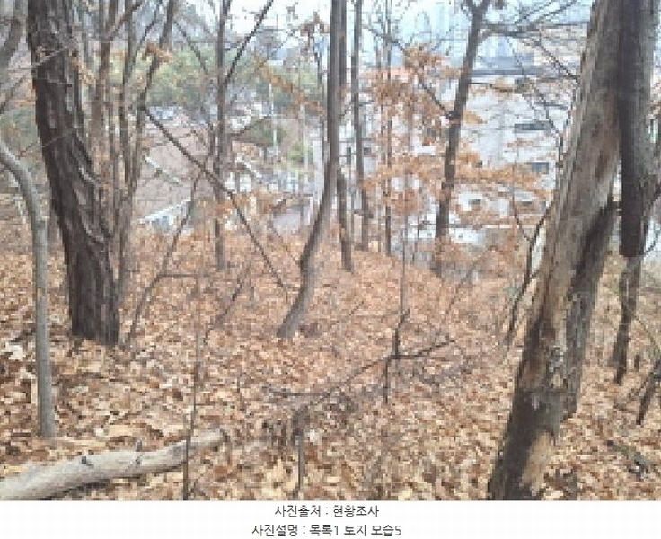2025타경969 대전광역시 동구 가오동 140-20 임야 경매 이미지