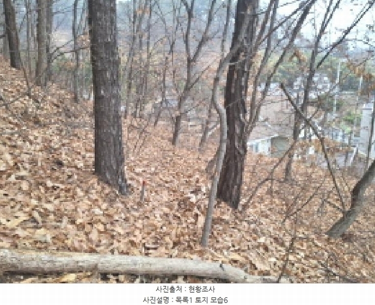 2025타경969 대전광역시 동구 가오동 140-20 임야 경매 이미지