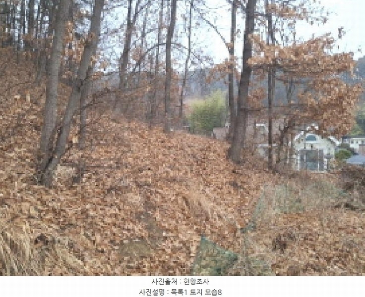 2025타경969 대전광역시 동구 가오동 140-20 임야 경매 이미지