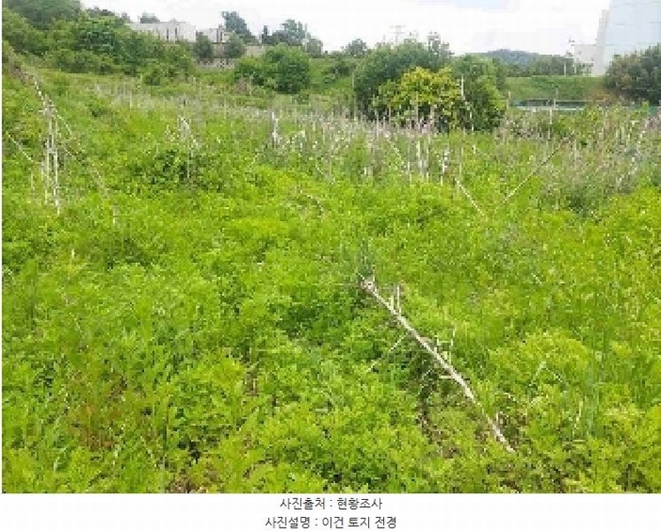 2025타경11686 충청남도 아산시 탕정면 명암리 401 농지 경매 이미지