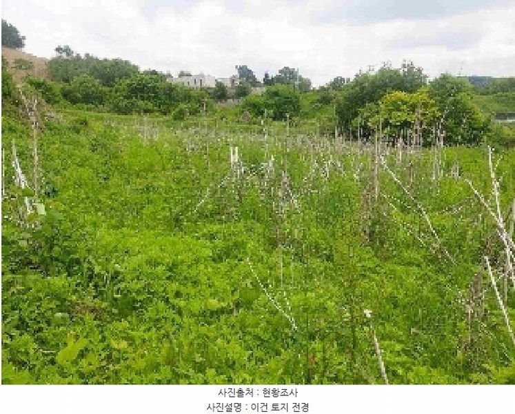 2025타경11686 충청남도 아산시 탕정면 명암리 401 농지 경매 이미지