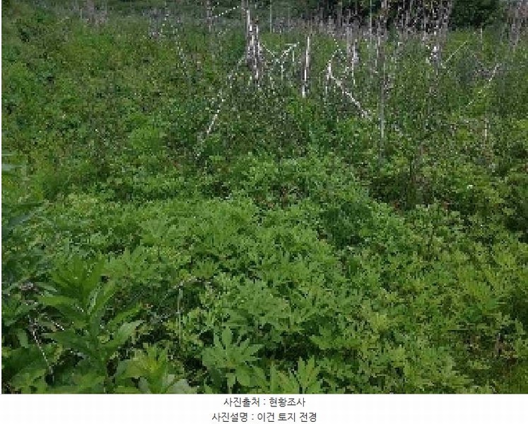 2025타경11686 충청남도 아산시 탕정면 명암리 401 농지 경매 이미지