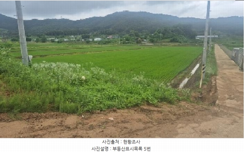 2025타경11845 충청남도 천안시 동남구 동면 수남리 370-1 임야 경매 이미지