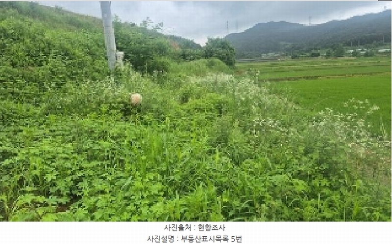 2025타경11845 충청남도 천안시 동남구 동면 수남리 370-1 임야 경매 이미지