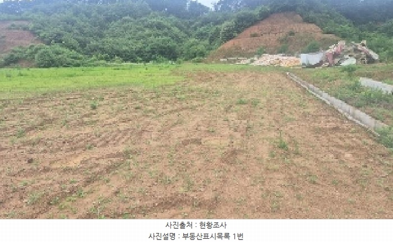 2025타경11845 충청남도 천안시 동남구 동면 수남리 370-1 임야 경매 이미지