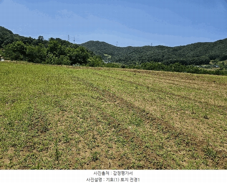 2025타경11845 충청남도 천안시 동남구 동면 수남리 370-1 임야 경매 이미지