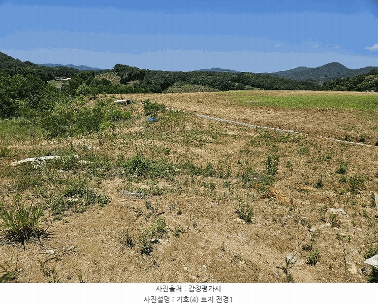 2025타경11845 충청남도 천안시 동남구 동면 수남리 370-1 임야 경매 이미지