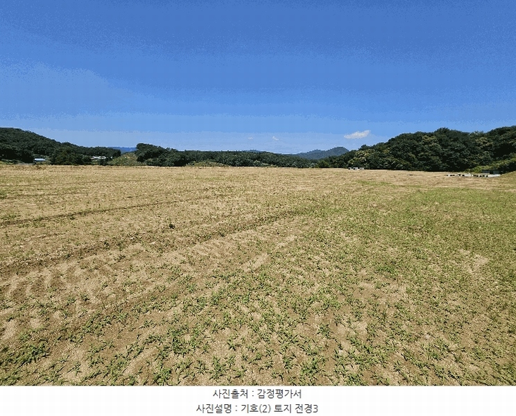 2025타경11845 충청남도 천안시 동남구 동면 수남리 370-1 임야 경매 이미지