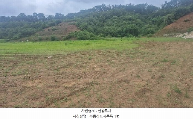 2025타경11845 충청남도 천안시 동남구 동면 수남리 370-1 임야 경매 이미지