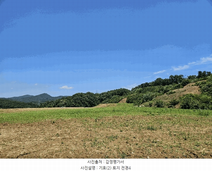 2025타경11845 충청남도 천안시 동남구 동면 수남리 370-1 임야 경매 이미지