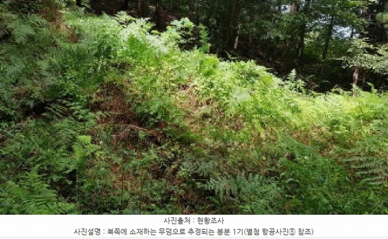 2025타경12247 충청남도 천안시 동남구 병천면 도원리 산34-56 임야 경매 이미지