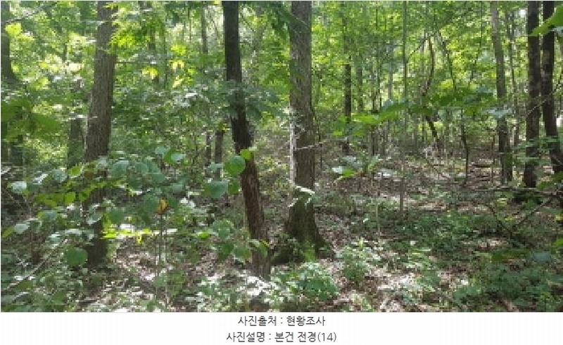 2025타경12247 충청남도 천안시 동남구 병천면 도원리 산34-56 임야 경매 이미지