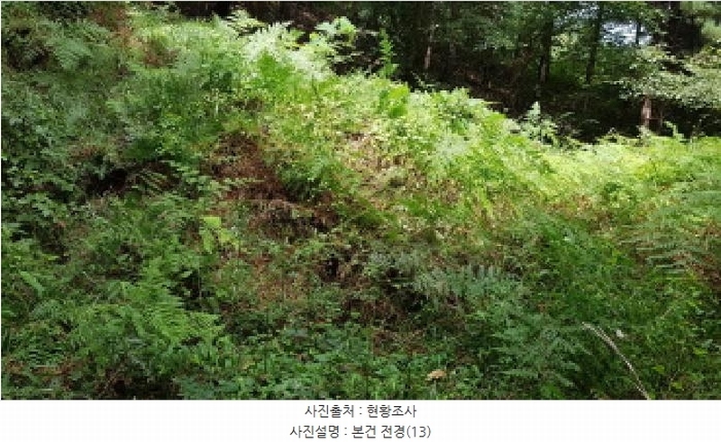 2025타경12247 충청남도 천안시 동남구 병천면 도원리 산34-56 임야 경매 이미지