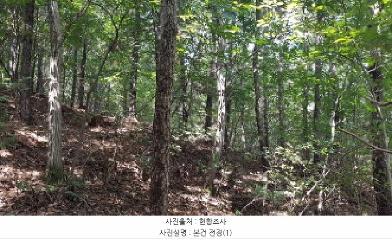 2025타경12247 충청남도 천안시 동남구 병천면 도원리 산34-56 임야 경매 이미지