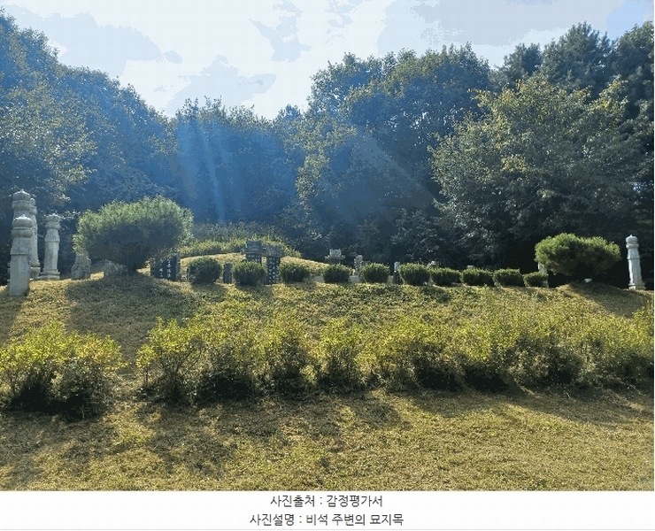 2025타경12247 충청남도 천안시 동남구 병천면 도원리 산34-56 임야 경매 이미지