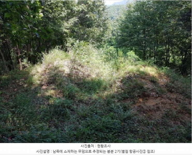 2025타경12247 충청남도 천안시 동남구 병천면 도원리 산34-56 임야 경매 이미지