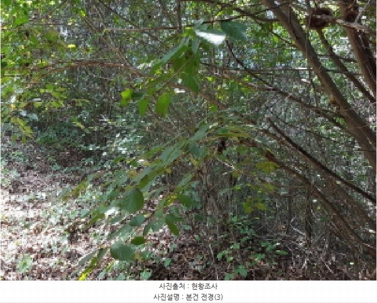 2025타경12247 충청남도 천안시 동남구 병천면 도원리 산34-56 임야 경매 이미지