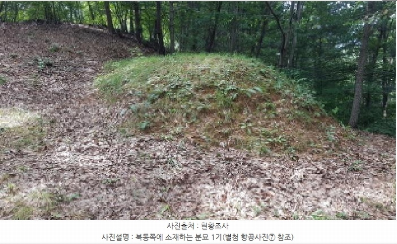 2025타경12247 충청남도 천안시 동남구 병천면 도원리 산34-56 임야 경매 이미지