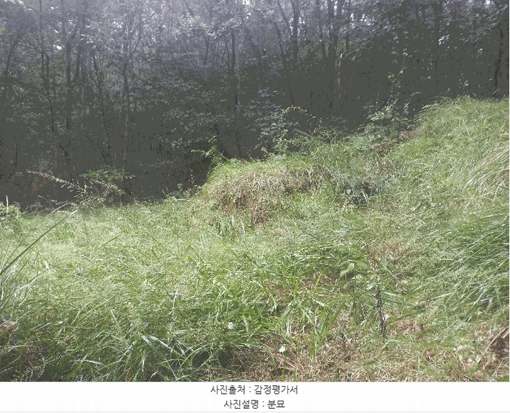 2025타경12247 충청남도 천안시 동남구 병천면 도원리 산34-56 임야 경매 이미지