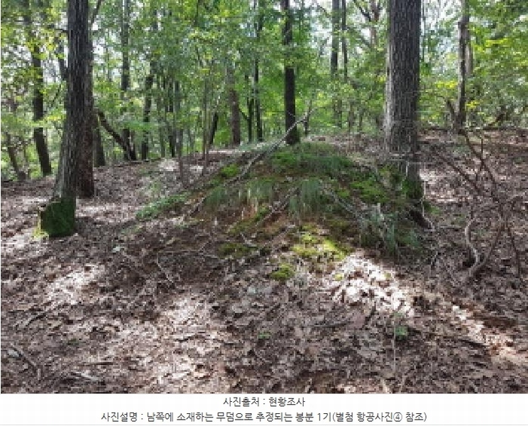 2025타경12247 충청남도 천안시 동남구 병천면 도원리 산34-56 임야 경매 이미지