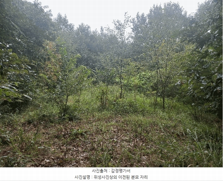 2025타경12247 충청남도 천안시 동남구 병천면 도원리 산34-56 임야 경매 이미지