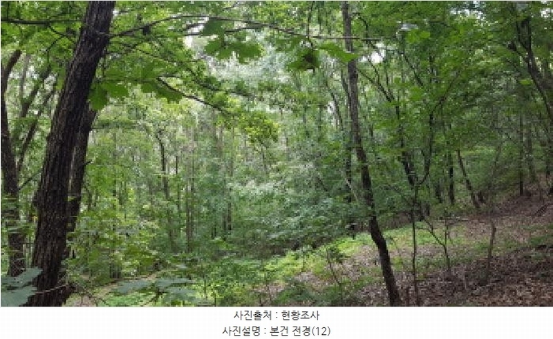2025타경12247 충청남도 천안시 동남구 병천면 도원리 산34-56 임야 경매 이미지