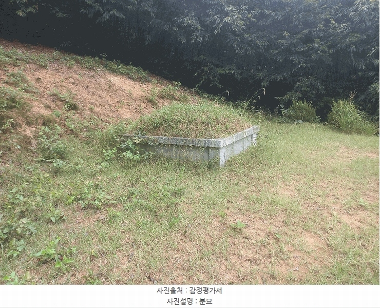 2025타경12247 충청남도 천안시 동남구 병천면 도원리 산34-56 임야 경매 이미지