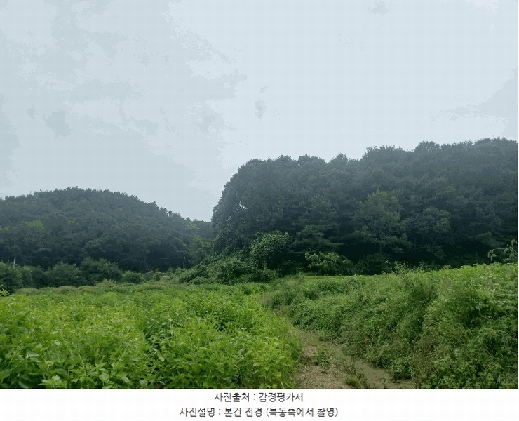 2025타경12247 충청남도 천안시 동남구 병천면 도원리 산34-56 임야 경매 이미지